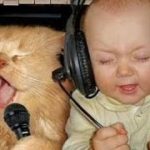 「猫と赤ちゃん」最高におもしろ猫と赤ちゃんのハプニング集・思わずに笑っちゃう