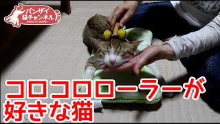 コロコロローラーが好きな猫。猫マッサージでご満悦です。The cat which is delighted by cat massage