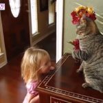 猫と赤ちゃんの戦い・猫に怒られた赤ちゃんの面白い動画・猫と赤ちゃんのハプニング