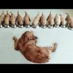 「絶対笑う」最高におもしろ犬,猫,動物のハプニング, 失敗画像集 #53