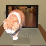 【トリック動画】 Surface Bookから飛び出す猫