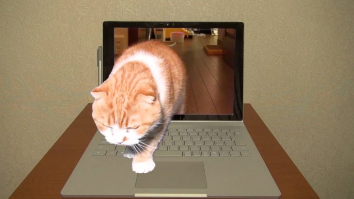 【トリック動画】 Surface Bookから飛び出す猫