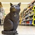 【猫 感動 泣ける話】スーパーマーケットを自主警護していた名物猫が永眠、その姿を残すべく銅像が設置される【保護 泣ける話 感動 動物 猫】動画 里親・招き猫ちゃんねる