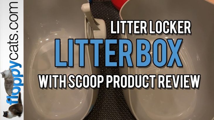 LitterLocker® Litter Box with Scoop Product Review Video – ねこ – ラグドール – = ネコ – Floppycats