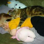 「感動」人間の赤ちゃんを必死で守る猫・かわいい猫と赤ちゃん