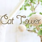 チャーム】キャットタワーの組み立て方法　cat tower 猫 ネコ neko おもちゃ LeafCorp #猫