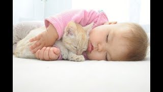 【ニヤニヤ注意】超癒される！猫と赤ちゃんの可愛い仲良し動画#1