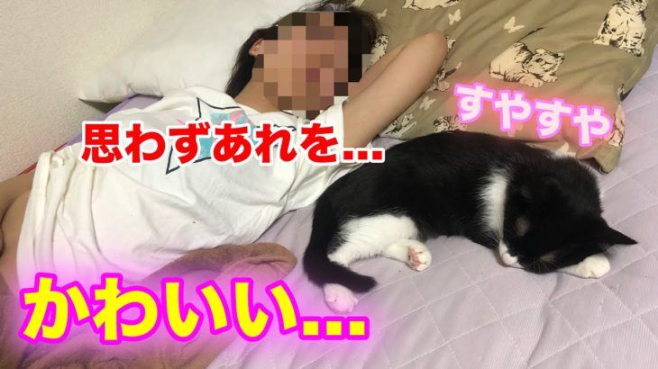 【カワイイ】子猫と彼女が寝る姿が可愛すぎて思わず…